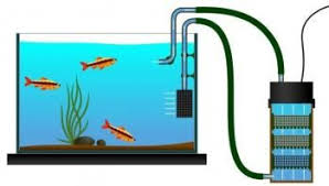 If your small fish tank filter is very dirty or full, it will not work 100%, and accumulation of large quantities of fish can result in dangerous high levels of toxic ammonia. Best Aquarium Filters Top Picks For A Clean Tank