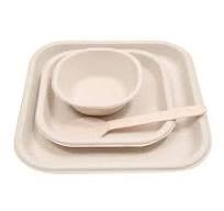 Sugarcane Bagasse Disposable Plates Set, Square Plates 9 Inch (25), Square  Plates 6 Inch (25), Bowls (25), Spoon (50), Brown Party Disposal ...