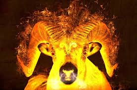 5 вещей которые не могут терпеть разные знаки зодиака 5 Samyh Slozhnyh Znakov Zodiaka Lion Sculpture Moose Art Animals