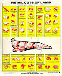 Lamb Chart Of Retail Cuts Lamb Meat Chart And Food Service