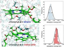 The chlorophyll absorption spectrum shows the lack of absorption in the green wavelengths. Absorption Energy Calculations Of Chlorophyll A And B With An Explicit Solvent Model Sciencedirect