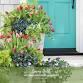 SPRING BULB LECTURE & CONTAINER WORKSHOP event image