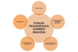 Halo sahabat mb dimana pun anda berada, di bawah ini saya akan memaparkan tentang teori pembangunan yang berisikan pengertian pembangunan. Mengenali Fungsi Fungsi Pengurusan Sumber Manusia Balohpedia