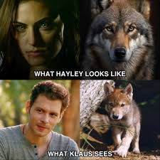 Little Wolf 🐺😁 . . The Vampire Diaries Joseph Morgan The Originals  #tvdedit #ninadobrev #hopemikaelson #elenagilbert #stefansalvatore  #theoriginalsedit #candiceking #damonsalvatoreedit #josephmorgan  #damonsalvatore #hayleymarshall #littlewolf ...