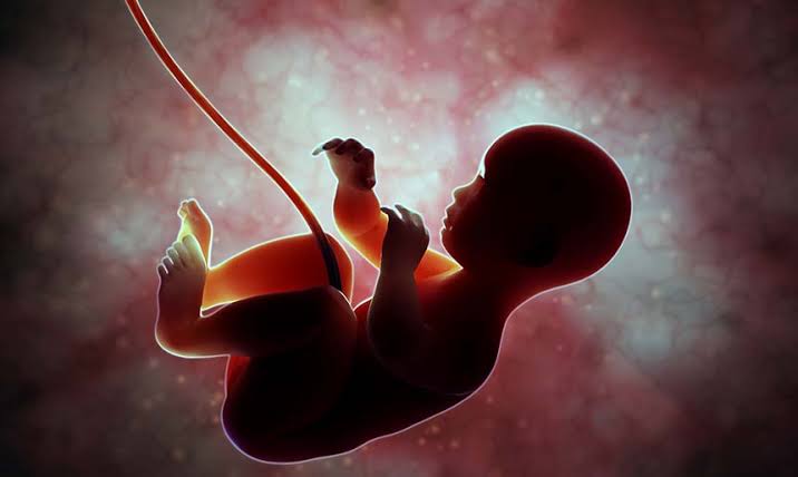 Idaho legislators seek to make abortion murder - East Idaho News