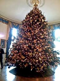 First dog bo is upstaging the christmas decorations at the white house this holiday season. St John Ornaments On White House Tree Us Virgin Islands News
