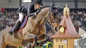 One mind, one fence, one eye. Malin Baryard Johnsson S Top Mare Butterfly Flip Has Died