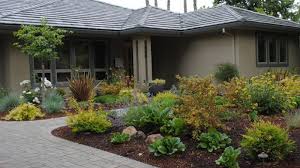 Front yard makeover no grass doris reagan central texas. Front Yard Ideas No Grass Landscape Design Front Yard Garden Design Small Backyard Landscaping Front Yard Landscaping Design