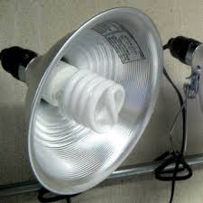 Lighting Options For Starting Seed Leds Vs Fluorescent