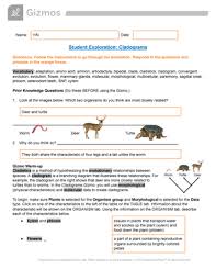 It's roughly what you compulsion currently. Cladogram Worksheet Answers Gizmo