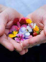 Pin By Mona Moni On Fotografi Hands Holding Flowers Flowers For You Love Flowers