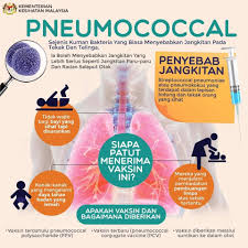Sekiranya anak bawah setahun demam, dan lambat dirawat, kemungkinan jangkitan kuman diselaput otak boleh berlaku. Pneumokokal Boleh Dicegah Penyakit Pneumokokal Adalah Penyakit Yang Disebabkan Oleh Bakteria Streptococcus Pneumoniae Juga Dikenali Sebagai Pneumokokus Sekalipun Ia Menjangkiti Semua Golongan Umur Tetapi Ia Lebih Sering Menjangkiti Kanak Kanak