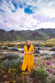 Free shipping · free coffee samples · quality is a priority Honest Shein Review 2021 Why This Company Is A Scam