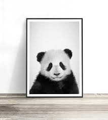 Baby Panda Print Panda Art Panda Bear Kids Room Decor Baby Boy Nursery Wall Art Panda Gift Nursery Animal Print Nursery Animal Prints Nursery Wall Art Boy Panda Bear Wall Art
