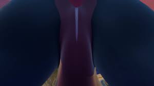 Dragon pov unbirth - ThisVid.com