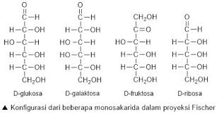 Maybe you would like to learn more about one of these? Biomolekul Karbohidrat Protein Lipid Asam Nukleat Struktur Uji Golongan