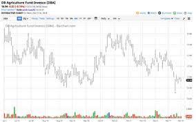 Animal Protein Meats Fourth Quarter 2018 Review And The