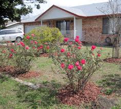 We did not find results for: Everything Is Coming Up Roses San Marcos Record
