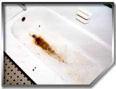 Proudly serving new york city, new jersey and connecticut areas. Bathtub Refinishing Reglazing Repairs In New Jersey