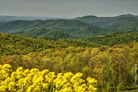 Blue Mountains, Views & Cool(ish) Weather