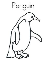 Feel free to print and color from the best 40+ cute penguin coloring pages at getcolorings.com. A Realistic Drawing Of Humboldt Penguin Coloring Page Penguin Coloring Realistic Drawings Penguin Coloring Pages