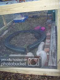 Diy Outdoor Ferret Pen Pic Overload The Holistic Ferret Forum Pet Ferret Ferret Ferret Cage