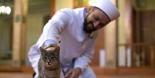 Islam Dininin Herkese Ornek Olacak Sefkatini Gozler Onune Seren Ve Kedicik Babasi Adiyla Anilan Bir Sahabe Ebu Hureyre Onedio Com
