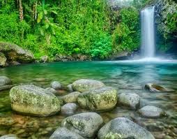 Cipendok baru dilirik pemerintah kabupaten banyumas pada tahun 1984 dan pembukaannya secara resmi sebagai objek wisata baru dilaksanakan pada. Obyek Wisata Ajibarang Wisata Alam Dan Kuliner Seru