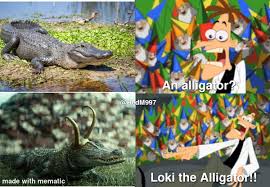 Alligator loki has demanded our attention. Plv9elfs 4amym