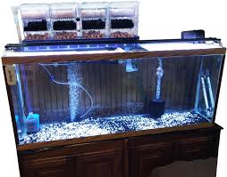 Mulai dari ratusan juta bintang hingga lebih dari satu trilyun bintang. 15 Jenis Dan Merk Filter Aquarium Terbaik Lengkap Aquapedia