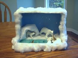 Tundra Biome In A Box Project Habitat Projects Projects Ideas Arctic Dioramas Schools Projects Habitats Projects Arctic Habitat Bear Habitat