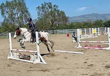 Pony Club Meeting