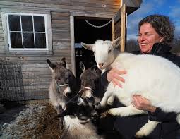 Throwback Brewery unveils two new donkeys