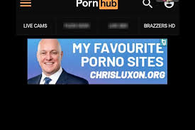 Christopher Luxon in parody advert promoting prime ministers favourite  pornography sites - NZ Herald
