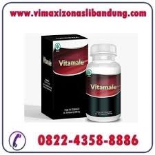 Hasil gambar untuk vitamale karawang