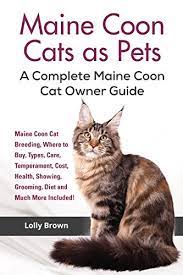 Pictures of maine coon cats. Maine Coon Cats As Pets Maine Coon Cat Breeding Where To Buy Types Care Temperament Cost