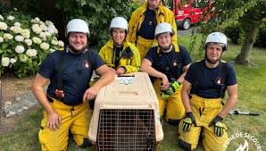 Hammy tv porn onlyfans i saw this wonderful person a few