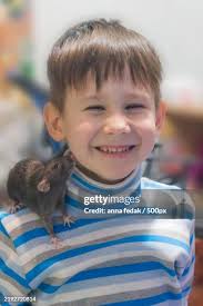 87 Mouse Shoulder Stock Photos, High-Res Pictures, and Images