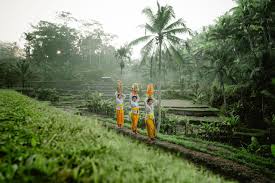 Demi Wujudkan Pariwisata Berkelanjutan Bali Akan Fokus Pada Kelestarian Lingkungan Di 2020 Pariwisata Indonesia Bali