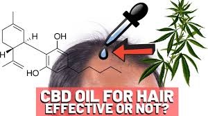 How to use cbd for hair loss. Cbd Oil Hair Growth Should You Try It Youtube