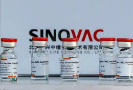Kawakita at the chiba university in chiba, japan. European Drugs Regulator Starts Rolling Review Of Sinovac Anti Coronavirus Jab