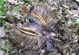 Kisah dua sahabat yang menginap di kondo menyeramkan di port dickson. Seram Baca Viral