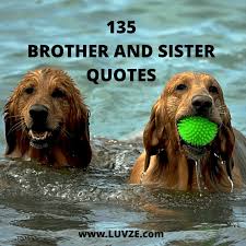 36 sisters not by blood famous sayings, quotes and quotation. 135 Cute Brother Sister Quotes Sayings And Messages