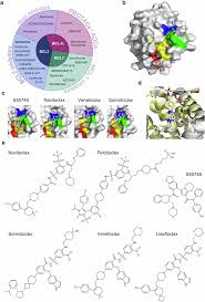 Image result for BCL2 Inhibitor