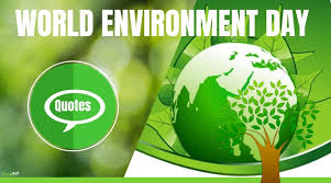 On social media, you can join the world in marking this day by sharing educative environmental posts. World Environment Day Slogans And Quotes Yourselfquotes