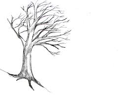 Draw a curved line on each side of the trunk, extending into the roots. How To Draw A Tree Happy Family Art