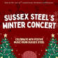Sussex Steel Winter Steelpan Concert event image