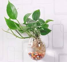 L'opera impressionista rappresenta un mazzo di fiori di diverse varietà. Una Bella Parete Da Giardino Piante Acquatiche Contenitori Vasi Di Fiori In Vetro Da Appendere Alla Parete In Vetro Terrariums Plant Contenitori Vasi Da Appendere Air Plant Terrariums