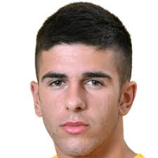 Milos Zlatkovic FM 2020 Profile, Reviews