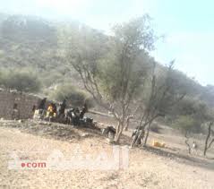 احب شخصية في الازارق has been published by abdulqawiali, latest version is 2.11.17, released on. Ø§Ù„Ø£Ø²Ø§Ø±Ù‚ Ø£Ø²Ù…Ø© Ø®Ø§Ù†Ù‚Ø© ÙÙŠ Ù…ÙŠØ§Ù‡ Ø§Ù„Ø´Ø±Ø¨ ÙˆÙ„Ø§ Ù…Ø¬ÙŠØ¨ Ù„Ù†Ø¯Ø§Ø¡Ø§Øª Ø§Ù„Ø£Ù‡Ø§Ù„ÙŠ ØµÙˆØ±